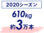 2020赛季 610kg
